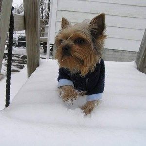 Meet your Posher, Tracy